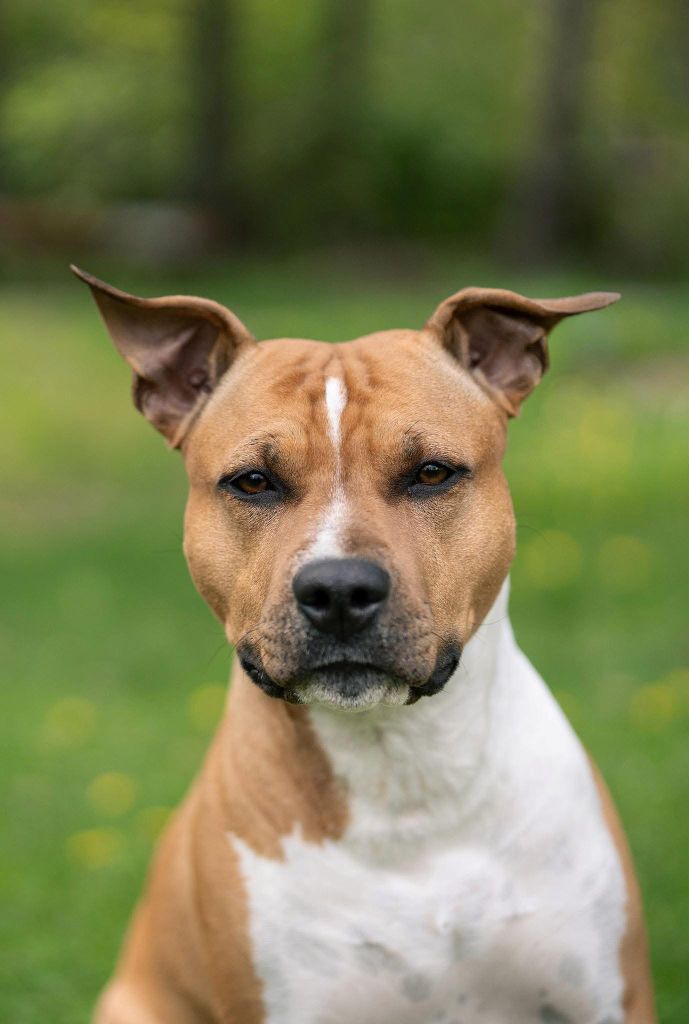 Old Parry's True pecan lady