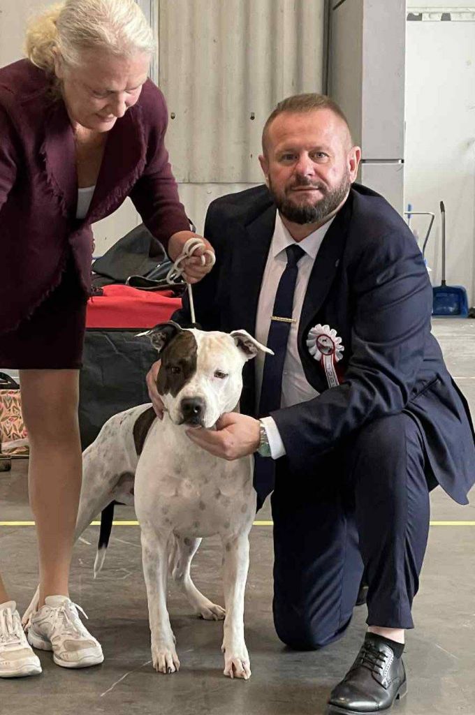 CH. Old Parry's Tomahawk's bill of pecan