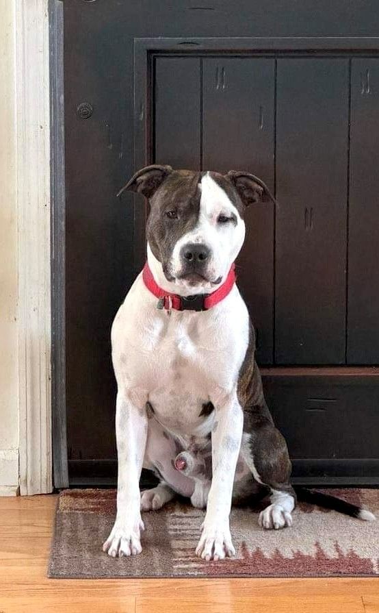 Old Parry's Two faces of pecan