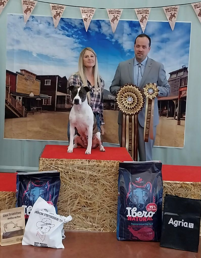 Old Parry's - Nationale d'Elevage 2025