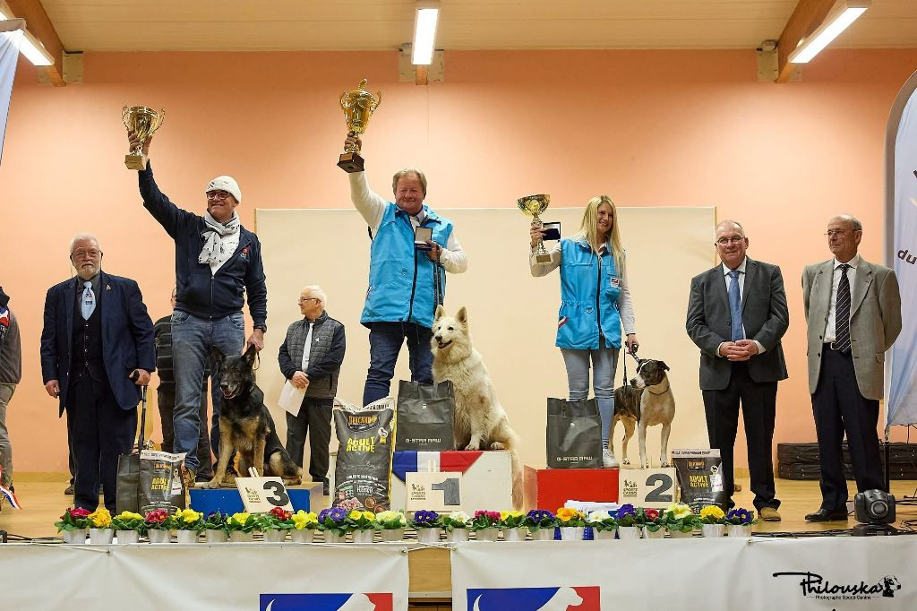 Championnat & Coupe de France Pistage Français